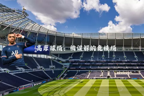 高原球场:被误解的竞技场
